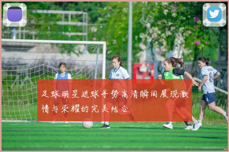 足球明星进球手势高清瞬间展现激情与荣耀的完美结合